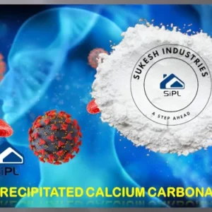 Precipitated Calcium Carbonate Powder Pharma Grade