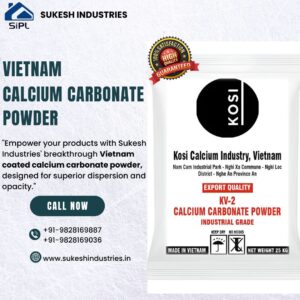 Vietnam Coated Calcium Carbonate Powder